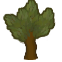 Oak tree