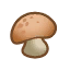 Nutrifungus.png