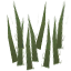 Grass a.png