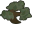 Bonsai tree.png