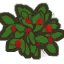 Strawberry_plant.png