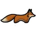 Red fox