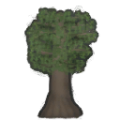 Tree cypress b.png
