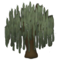 Willow tree b old.png