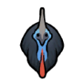 Cassowary south.png