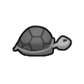 Dessicated tortoise east.png