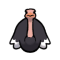 Male Ostrich south.png