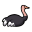 Male Ostrich east.png