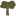 Cecropia tree