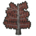 Tree maple a.png
