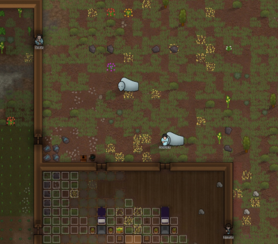 How to set up a good killzone? : r/RimWorld