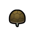Tortoise north.png