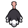 Male Ostrich north.png