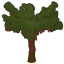 Cocoa tree.png