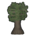 Tree cypress a.png